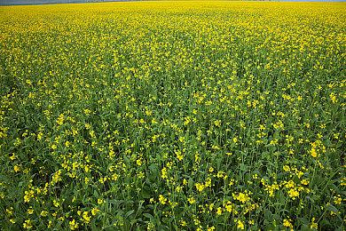 Steam新一周销量榜 SteamDeck四连冠