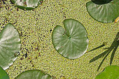 《天命奇御二》明晚9点解锁 主播提前播活动！